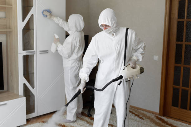 Affordable Sewage Cleanup solutions in Cantil, CA
